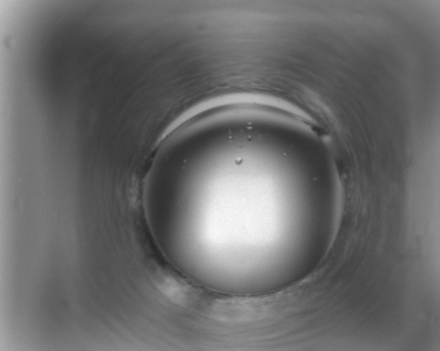 X0000069840025200605261918