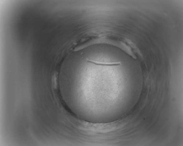 X0000069840026200605261918