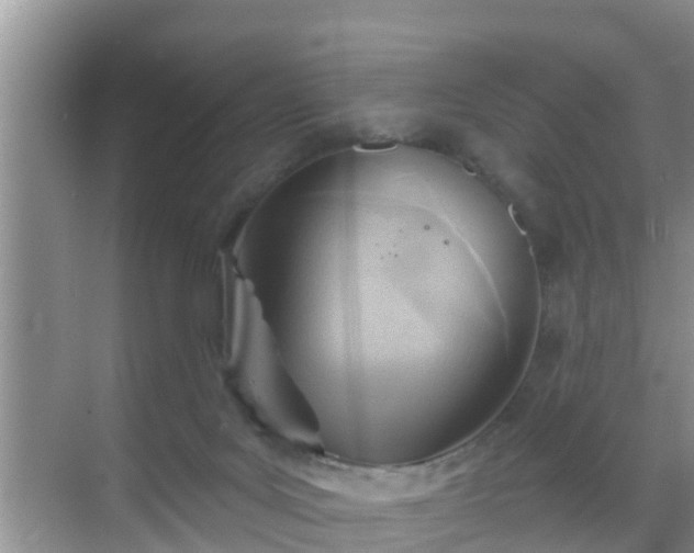 X0000069840027200605261918