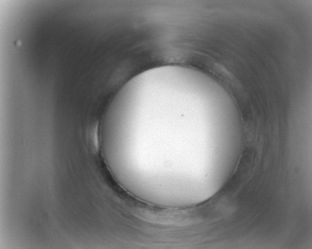 X0000069840028200605261918