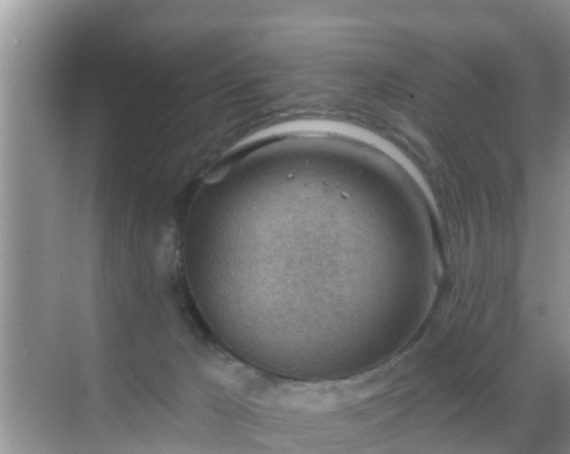 X0000069840029200605261918