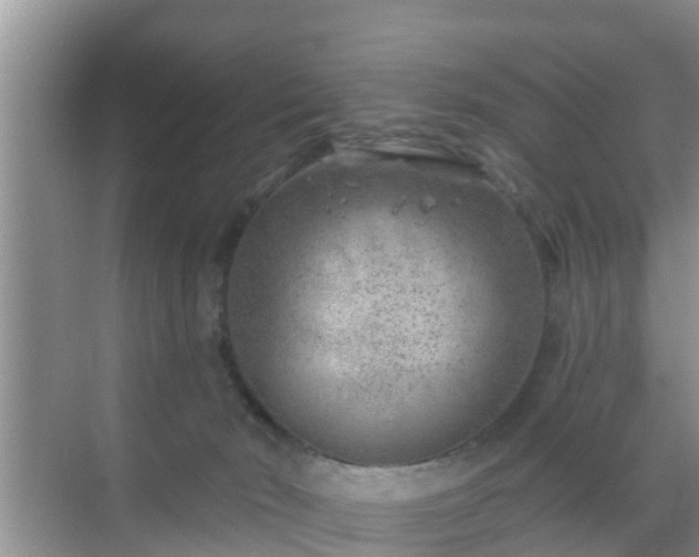 X0000069840030200605261918