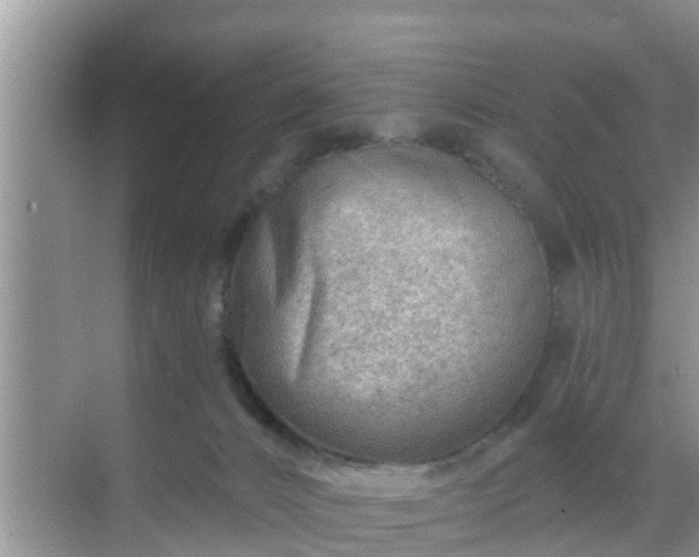 X0000069840032200605261918