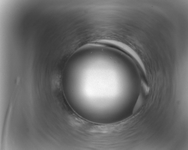 X0000069840033200605261918