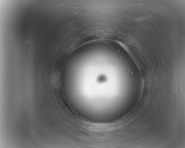 X0000069840034200605261918