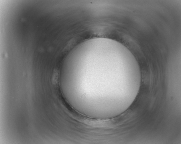 X0000069840036200605261918