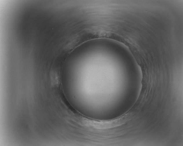 X0000069840039200605261918