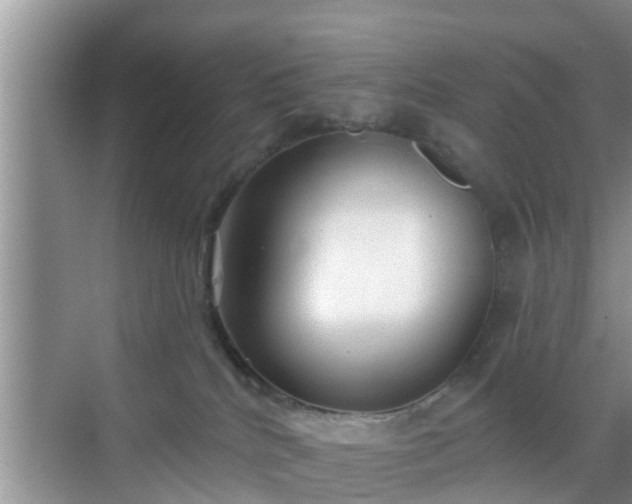 X0000069840040200605261918