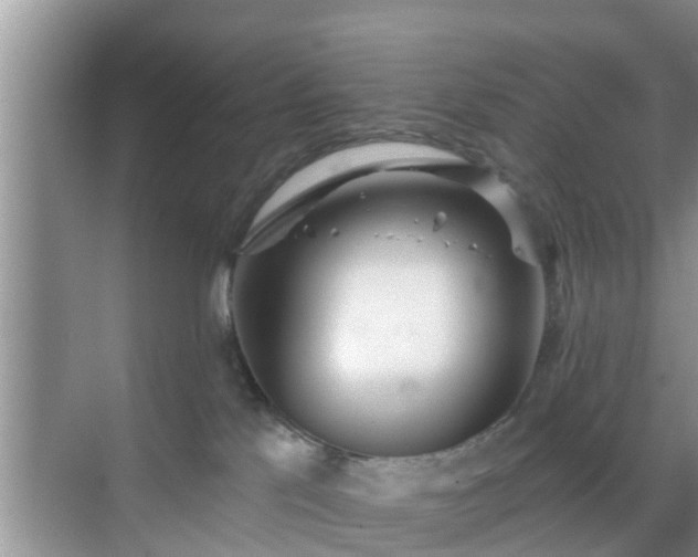 X0000069840041200605261918