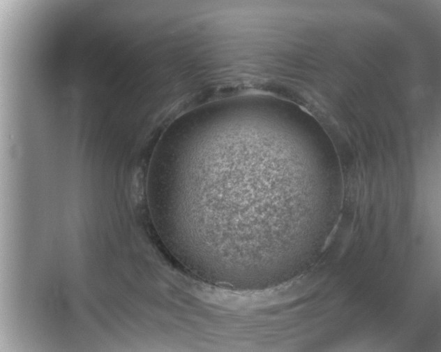 X0000069840043200605261918