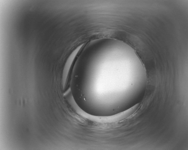 X0000069840045200605261918