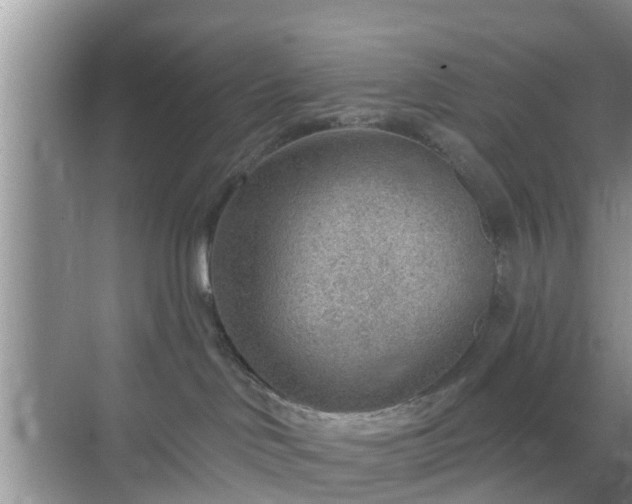 X0000069840046200605261918