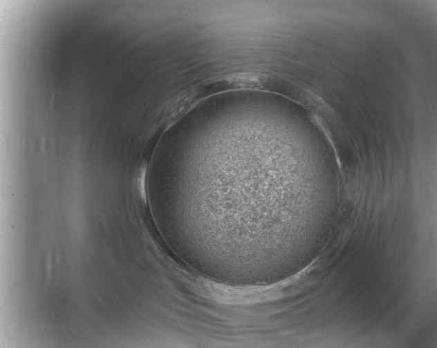 X0000069840047200605261918