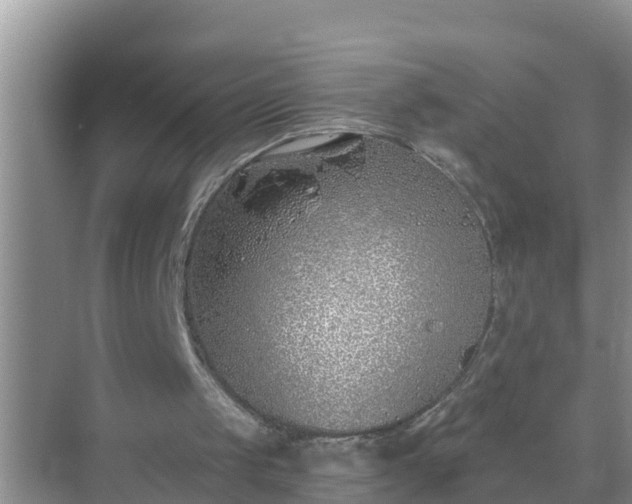 X0000069840049200605261917