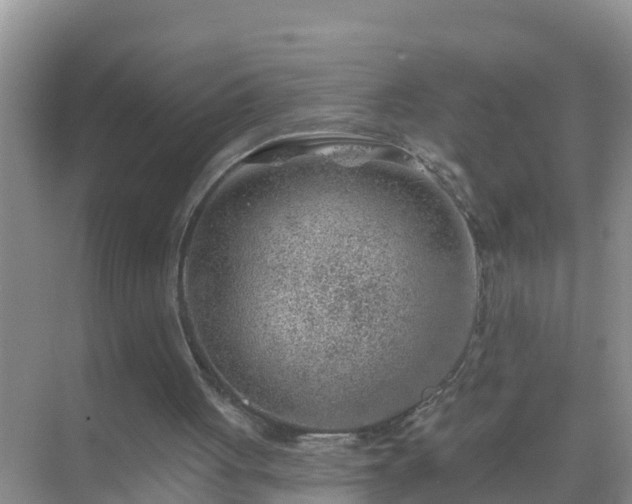 X0000069840051200605261917