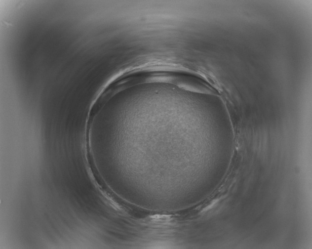 X0000069840052200605261917