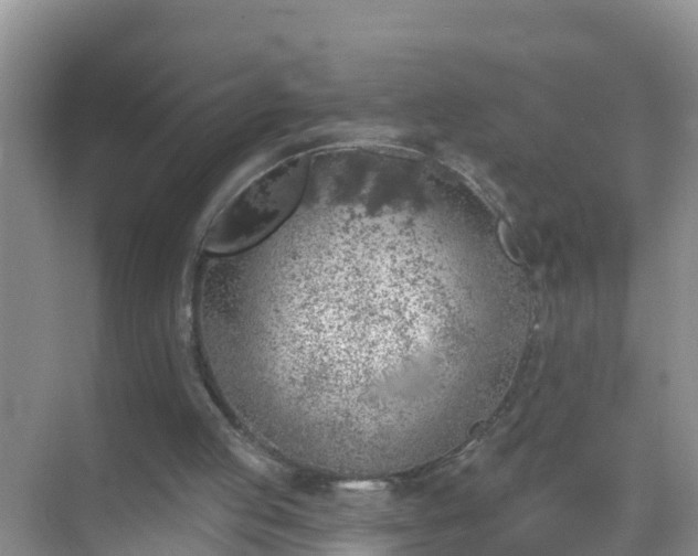 X0000069840053200605261917