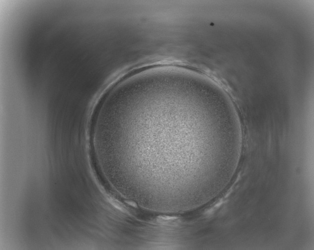 X0000069840055200605261917