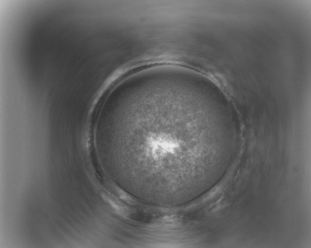 X0000069840056200605261917