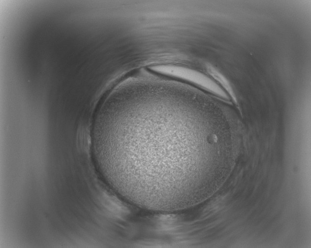 X0000069840059200605261917