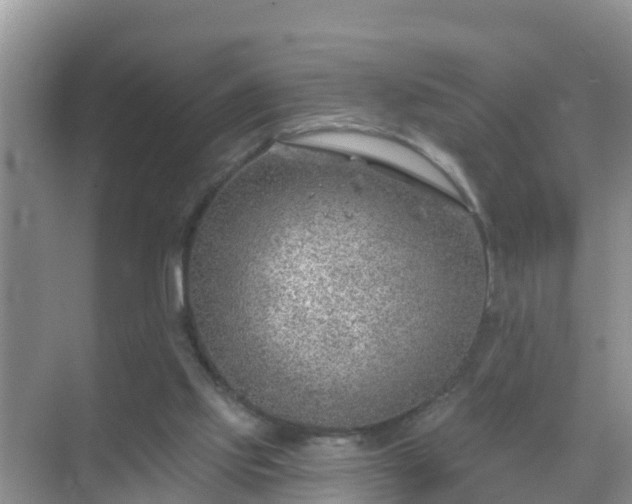 X0000069840061200605261917