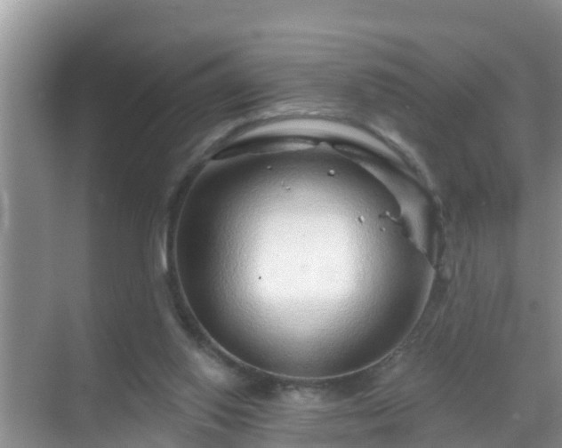 X0000069840062200605261917