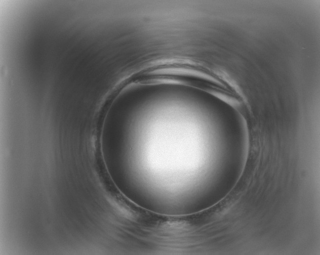 X0000069840063200605261917