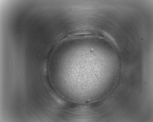 X0000069840065200605261917