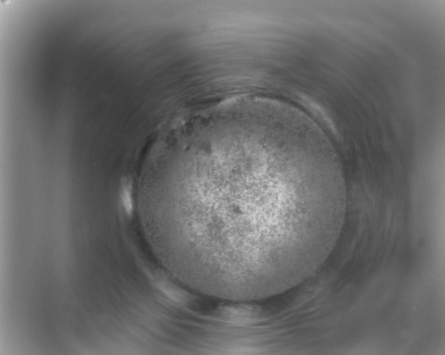 X0000069840069200605261917