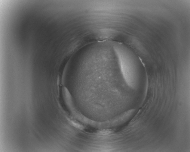 X0000069840076200605261918