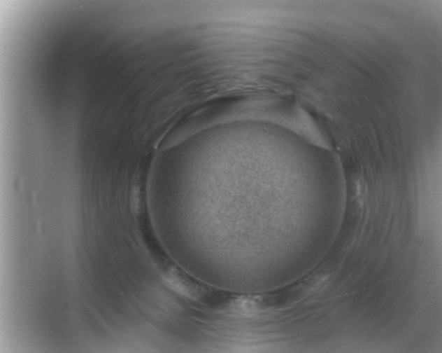 X0000069840080200605261918