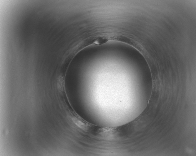 X0000069840093200605261918