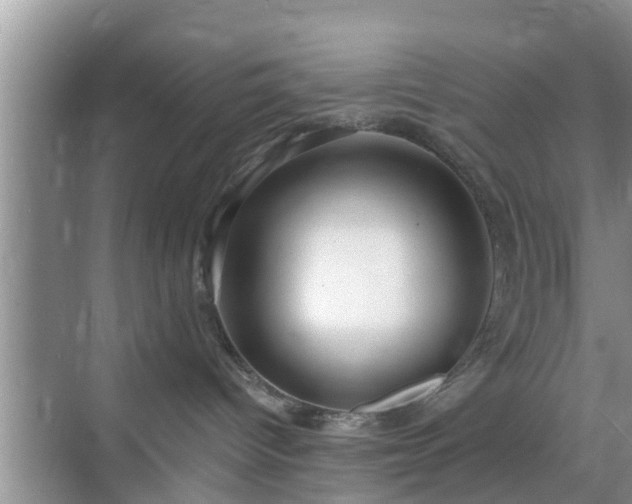 X0000069840096200605261918