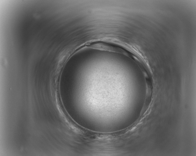 X0000069840097200605261917