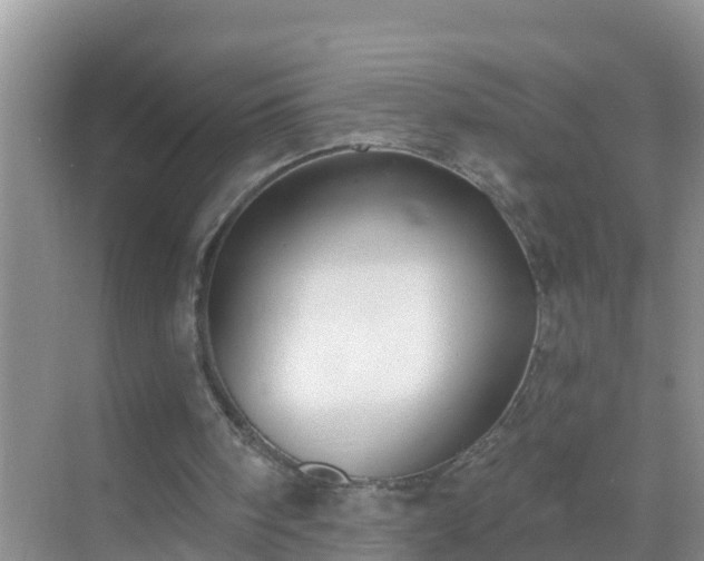 X0000069840098200605261917