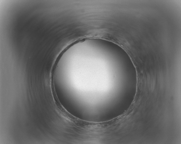 X0000069840100200605261917