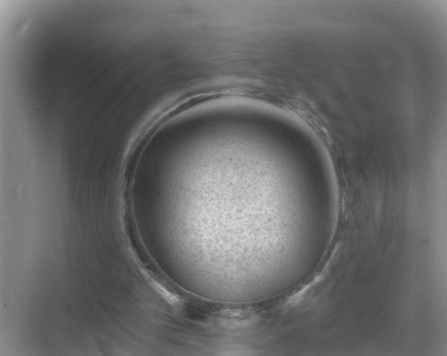 X0000069840101200605261917