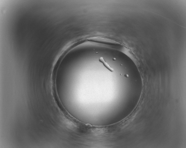 X0000069840102200605261917