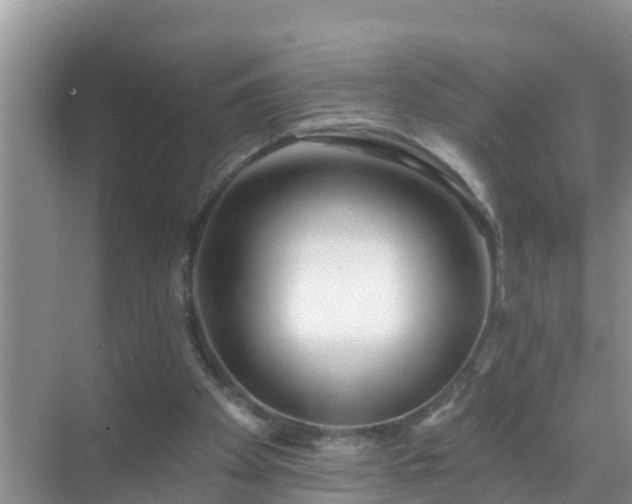 X0000069840105200605261917