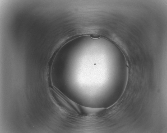 X0000069840107200605261917