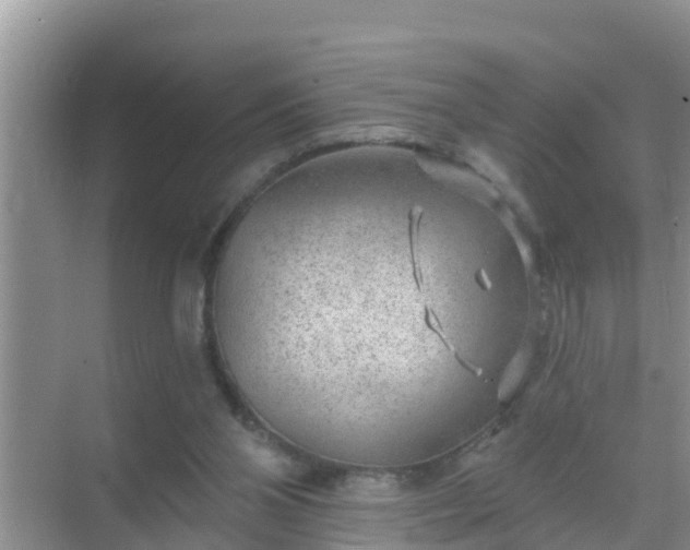 X0000069840110200605261917