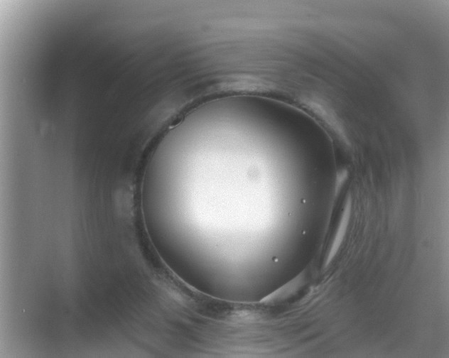 X0000069840111200605261917