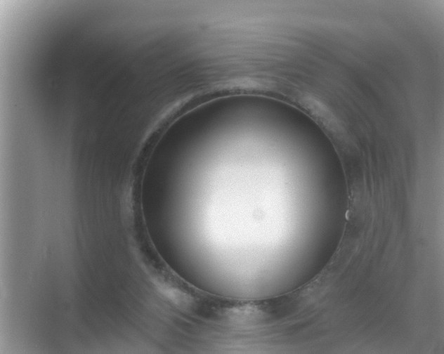 X0000069840112200605261917