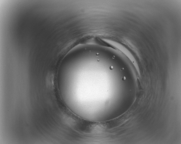 X0000069840115200605261917