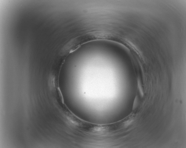 X0000069840117200605261917