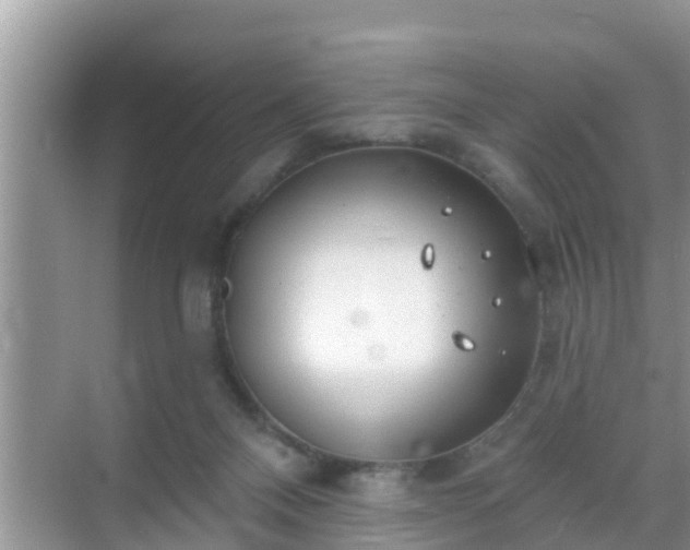 X0000069840120200605261917