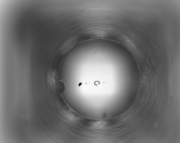 X0000069840122200605261917