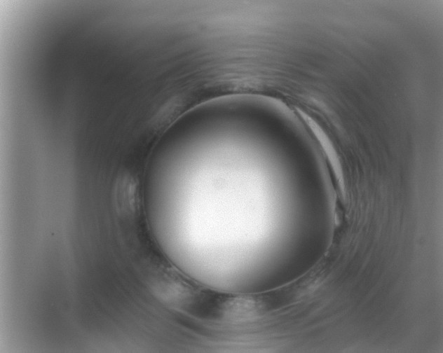 X0000069840123200605261917