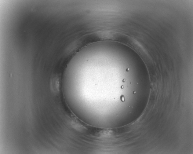 X0000069840124200605261917