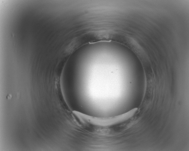 X0000069840125200605261917